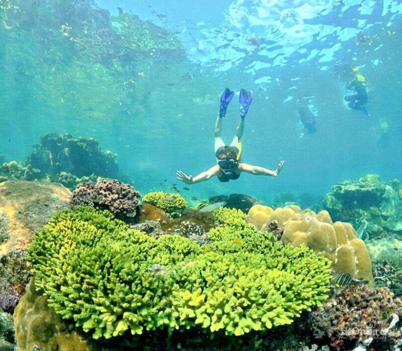 phu-quoc-speedboat-pro-snorkeling-4-islands-2-reefs-meal