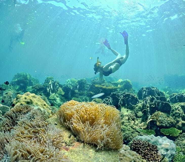phu-quoc-speedboat-pro-snorkeling-4-islands-2-reefs-meal