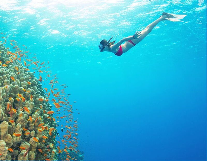 Phu Quoc: Speedboat Tour of 4 Islands with Snorkeling & BBQ - Key Points