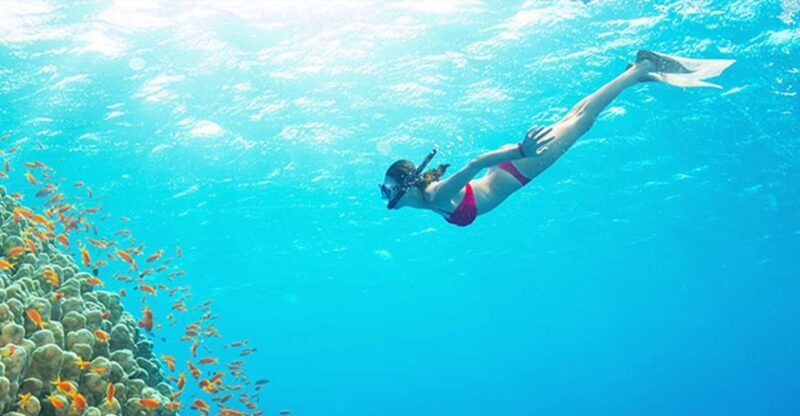 Phu Quoc: Speedboat Tour of 4 Islands with Snorkeling & BBQ - The Itinerary: What to Expect from Start to Finish