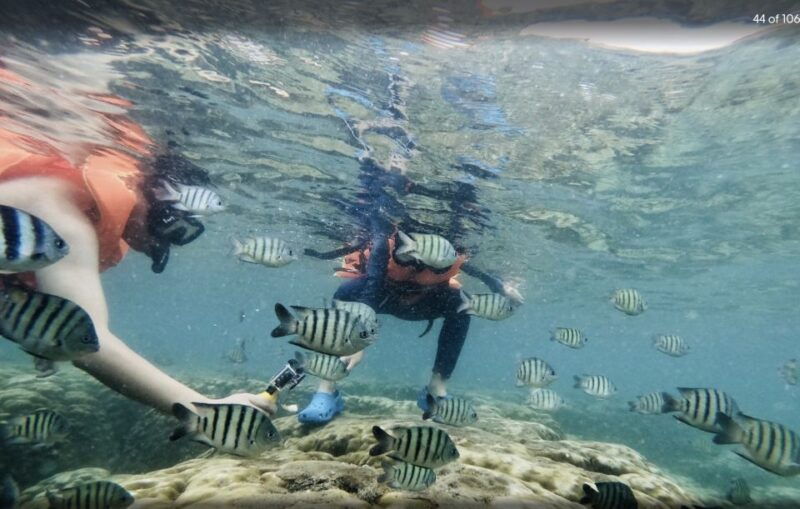 phu-quoc-speedboat-tour-of-4-islands-with-snorkeling-bbq