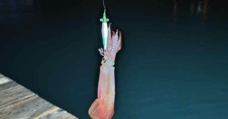 Phu Quoc: Squid Fishing Tour with sunset views & dinner - What to Expect from the Tour