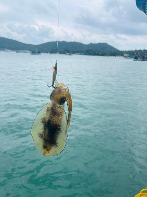 Phu Quoc: Squid Fishing Tour with sunset views & dinner - Final Thoughts