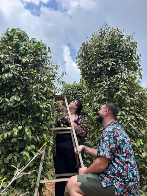 Phu Quoc: Starfish Beach, Kayaking, and Lunch Day Trip - Visiting Farms: Pepper and Bees