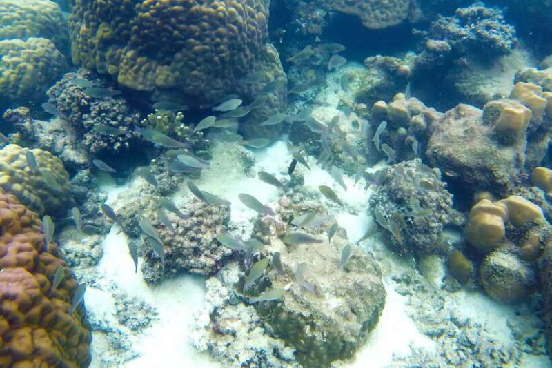 PHU QUOC TRIP 2: 2 ISLANDS BY BOAT - Authentic Insights from Travelers