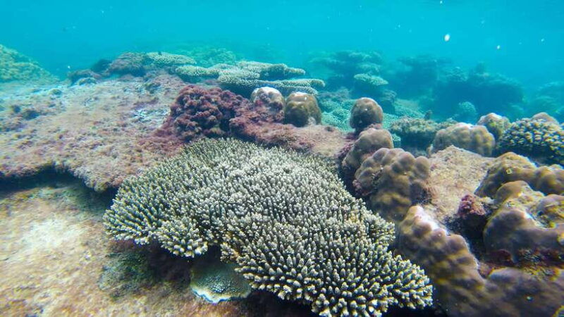 phu-quoc-trip-3-3-islands-full-day-snorkeling-tour