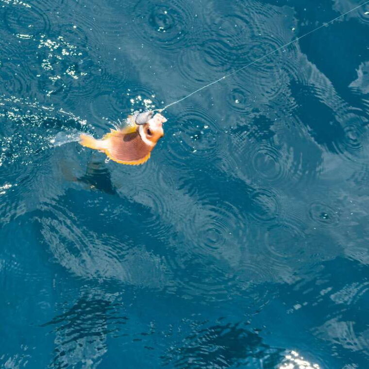 phu-quoc-trip-3-3-islands-full-day-snorkeling-tour