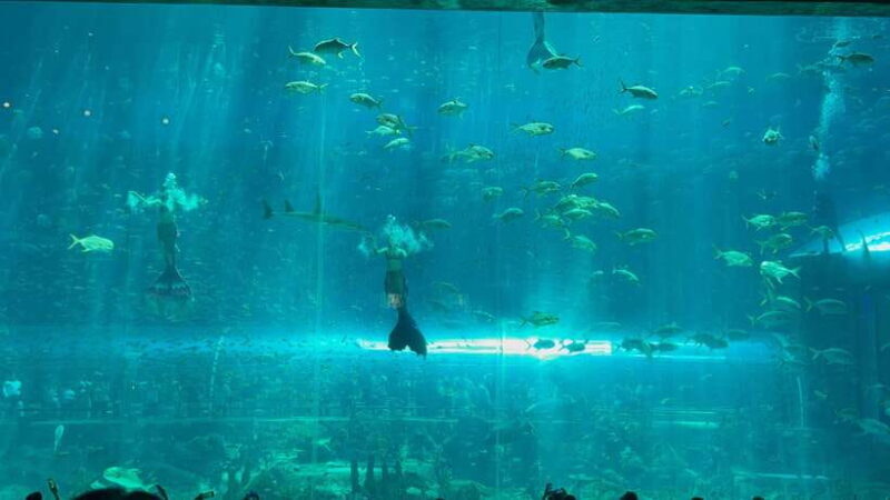 Phu Quoc VinWonders Theme Park And Safari Wildlife Tour - Vinpearl Safari: Up Close with Over 3,000 Animals