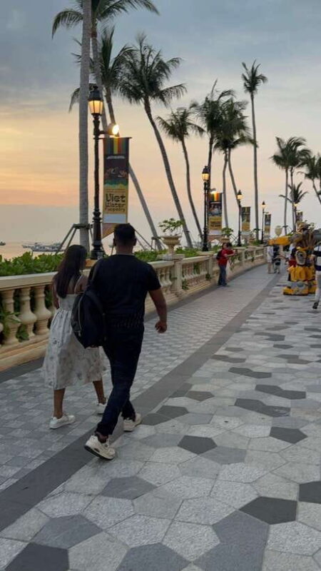 Phu Quoc VinWonders Theme Park And Safari Wildlife Tour - Who Should Consider This Tour?