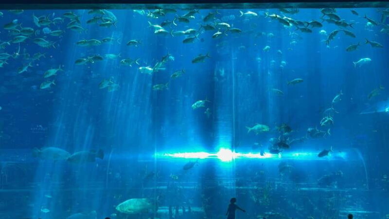 Phu Quoc VinWonders Theme Park And Safari Wildlife Tour - FAQ