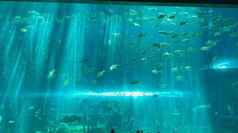 Phu Quoc VinWonders Theme Park And Safari Wildlife Tour - Final Thoughts