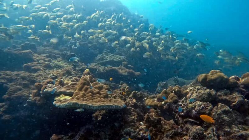 Phuket: 3 Day PADI Open Water Scuba Course with Boat Trip - The Sum Up