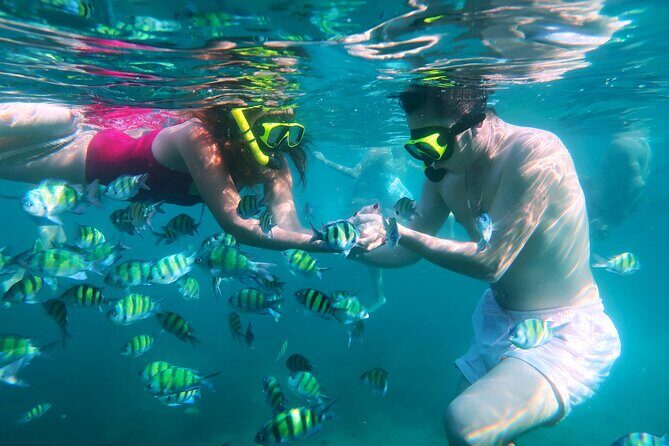 Phuket 3 Khai Island Speedboat With Snorkeling (Half or Full Day) - The Experience on the Water