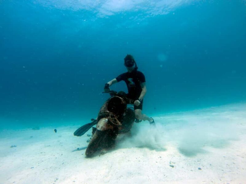 Phuket: AIDA/SSI/Molchanovs Freediving Level 1 - 2 days - Key Points