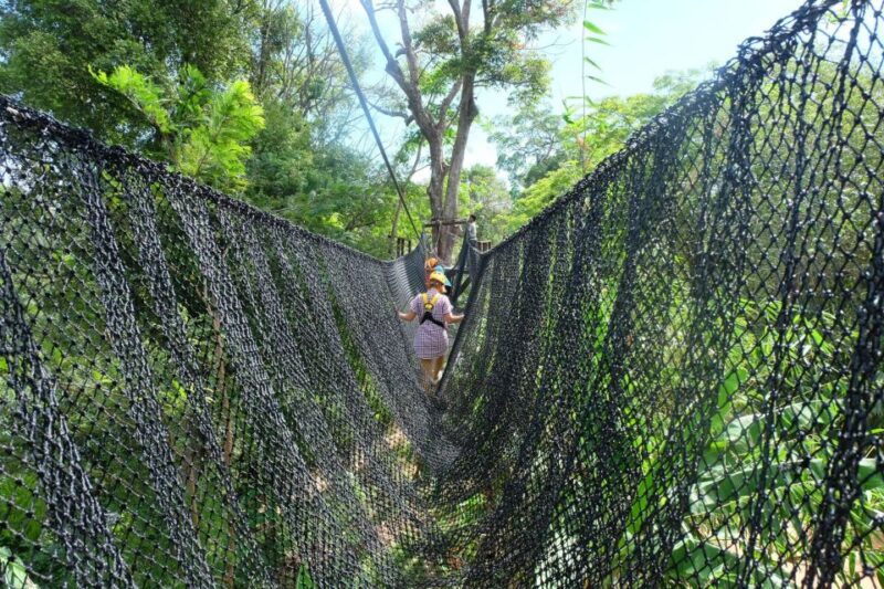 phuket-atv-and-zipline-panoramic-adventure