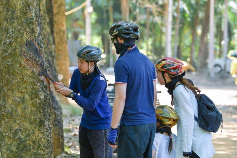 phuket-atv-mangrove-jungle-hidden-beach-tour