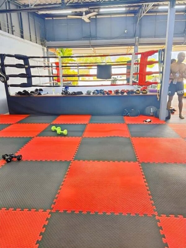 Phuket: Authentic MuayThai Training Experience(2 hours) - Who Will Love This Experience?