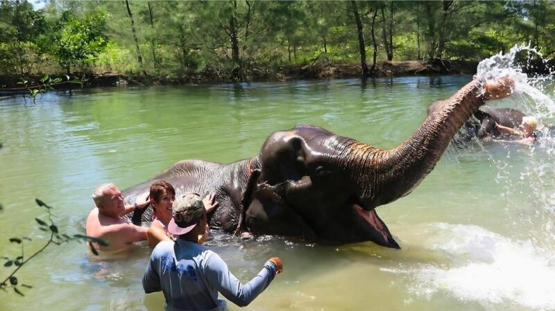 phuket-bamboo-water-rafting-with-elephant-bathing