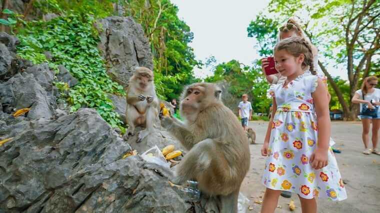 phuket-bamboo-water-rafting-with-elephant-bathing