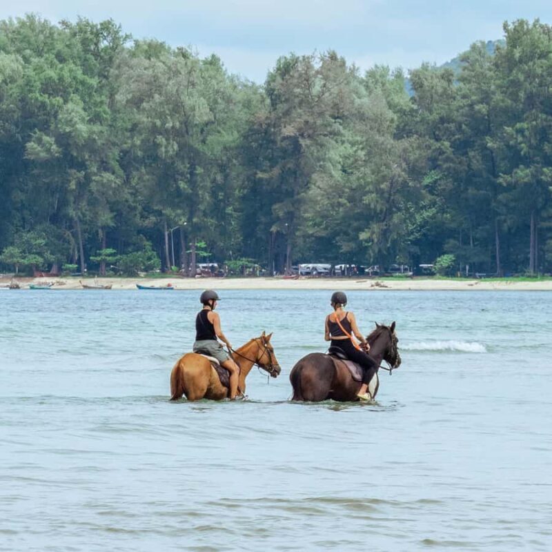 Phuket Beach Horseback Adventure - What to Expect from the Phuket Beach Horseback Adventure