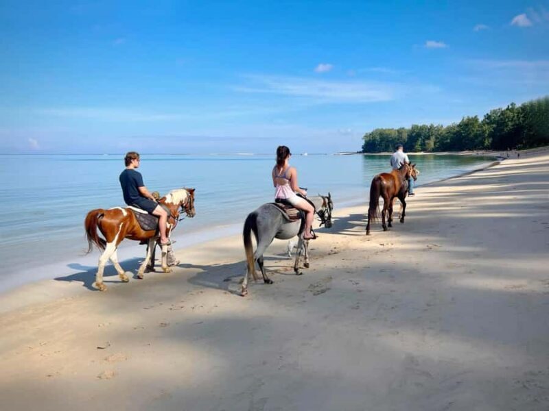 Phuket Beach Horseback Adventure - Who Will Love This Tour?