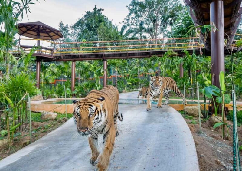 Phuket: Bird Park, Elephant Feeding, ATV Ride & City Tour - Who Will Love This Tour?