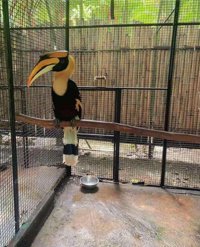 phuket-bird-park-entry-ticket