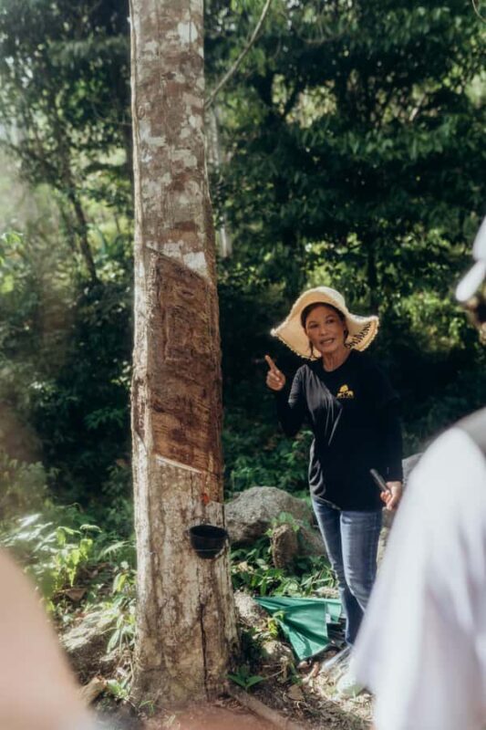 Phuket: Bukit Elephant Park Sanctuary Tour with Lunch - Key Points