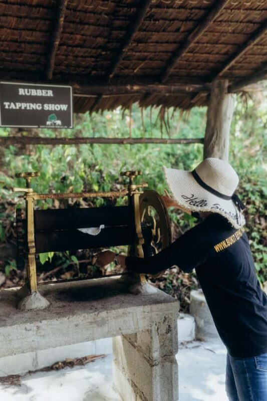 Phuket: Bukit Elephant Park Sanctuary Tour with Lunch - Authentic Insights from Reviews