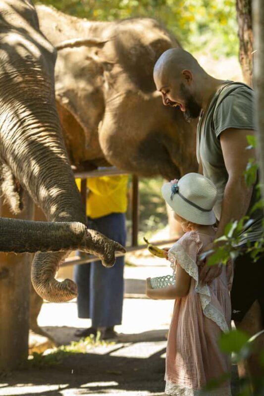 Phuket: Bukit Elephant Park Sanctuary Tour with Lunch - In The Sum Up