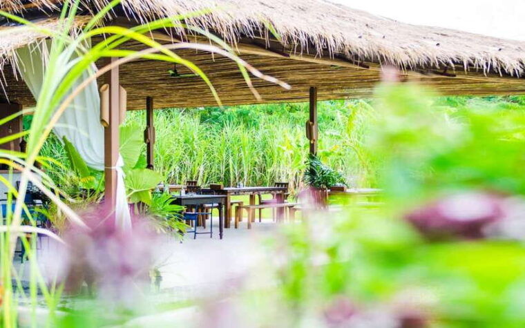 phuket-chalong-bay-rum-big-buddha-half-day-private-tour
