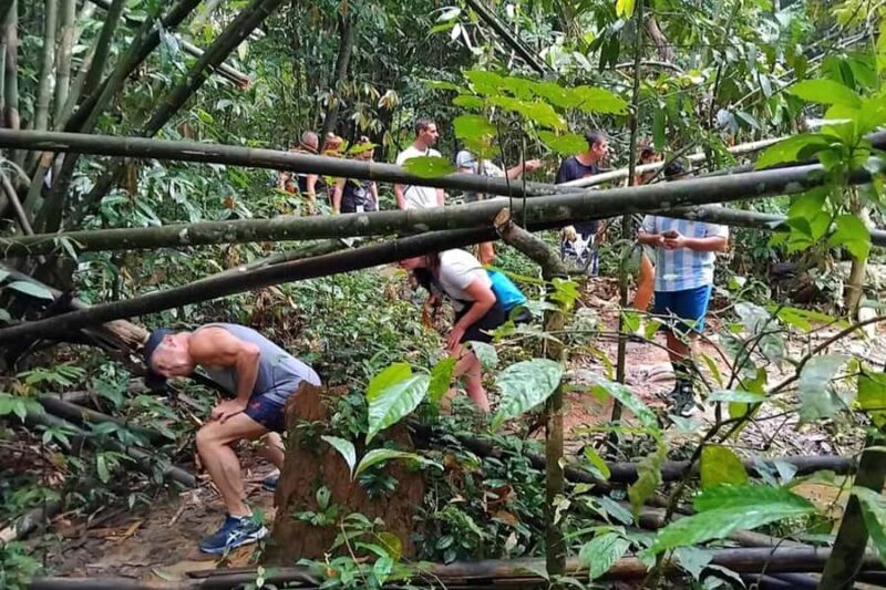 Phuket: Cheow Lan Lake, Diamond Cave, Hiking, All Included - The Value in the Experience