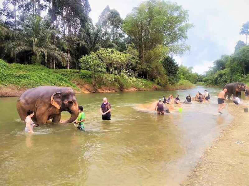 Phuket: Cheow Lan Lake Overnight with Elephant Day Care - Final Word