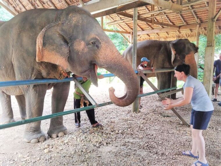 phuket-cheow-lan-lake-overnight-with-elephant-day-care