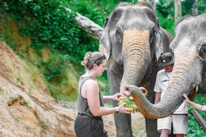Phuket: ChillVa Market ATV Ride & Feeding Elephant Sanctuary - Exploring Phuket with a Guided Tour