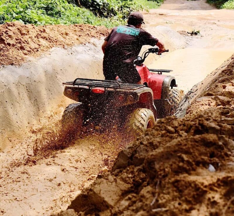 Phuket: ChillVa Market ATV Ride & Feeding Elephant Sanctuary - Who Will Love This Tour?