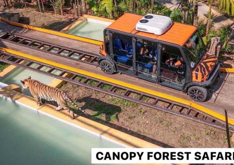 Phuket: ChillVa Market ATV Ride & Feeding Elephant Sanctuary - FAQ