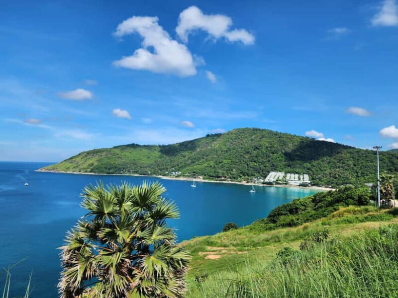 Phuket City Tour with Night Market Visit & Elephant Feeding - Who Is This Tour Best For?