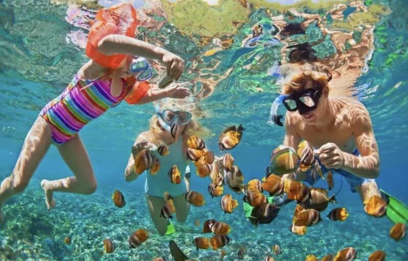 Phuket: Coral and Racha Islands Catamaran Cruise & BBQ Party - Key Points