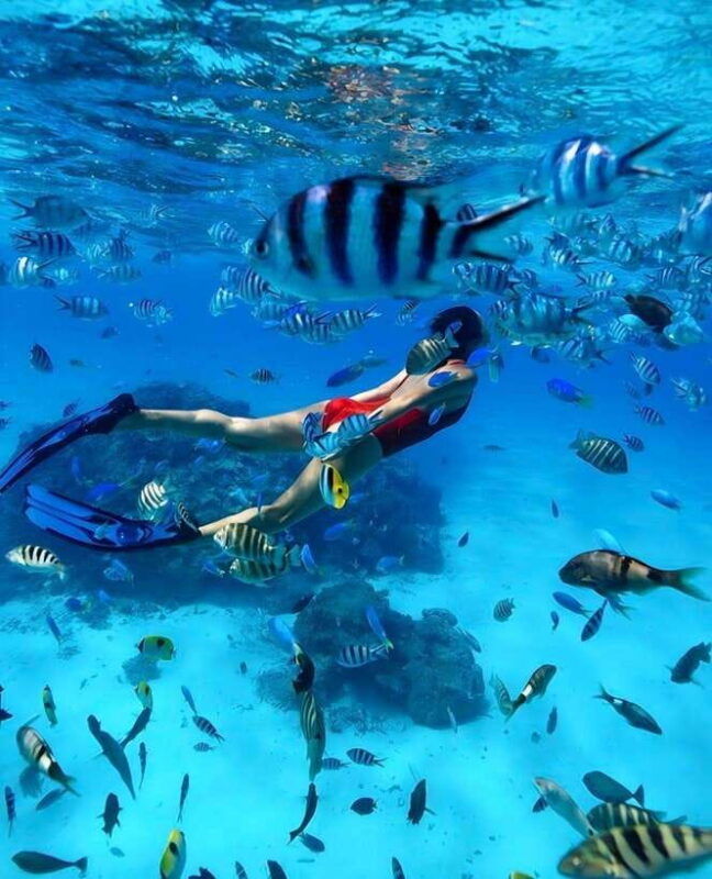 phuket-coral-and-racha-lslands-catamaran-tour-with-lunch