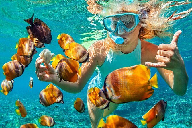 Phuket Coral Island Private Snorkeling Adventure All Inclusive - What the Tour Includes and What to Consider