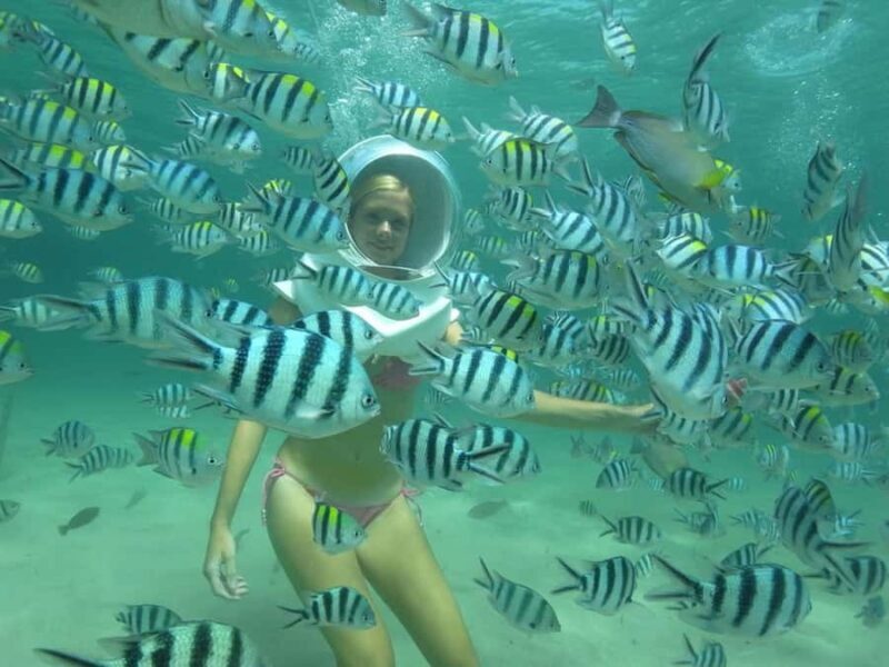 Phuket: Coral Island Snorkeling and Water Activities Trip - Who Will Love This Tour?