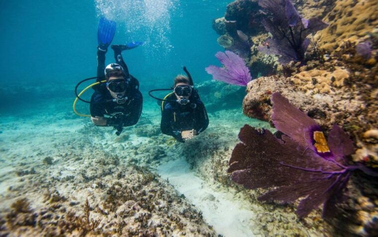 phuket-coral-island-snorkeling-and-water-activities-trip