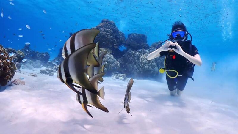 Phuket: Discover Scuba Diving to Racha Yai Island - An In-Depth Look at the Experience