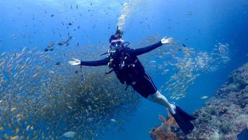 Phuket: Discover Scuba Diving to Racha Yai Island - Who Will Benefit Most?