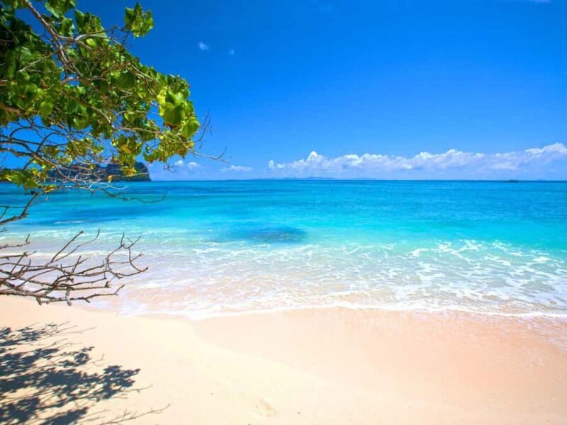 Phuket: Early Speedboat to Phi Phi, Bamboo, Snorkel & Lunch - Practical Tips for Making the Most of This Tour