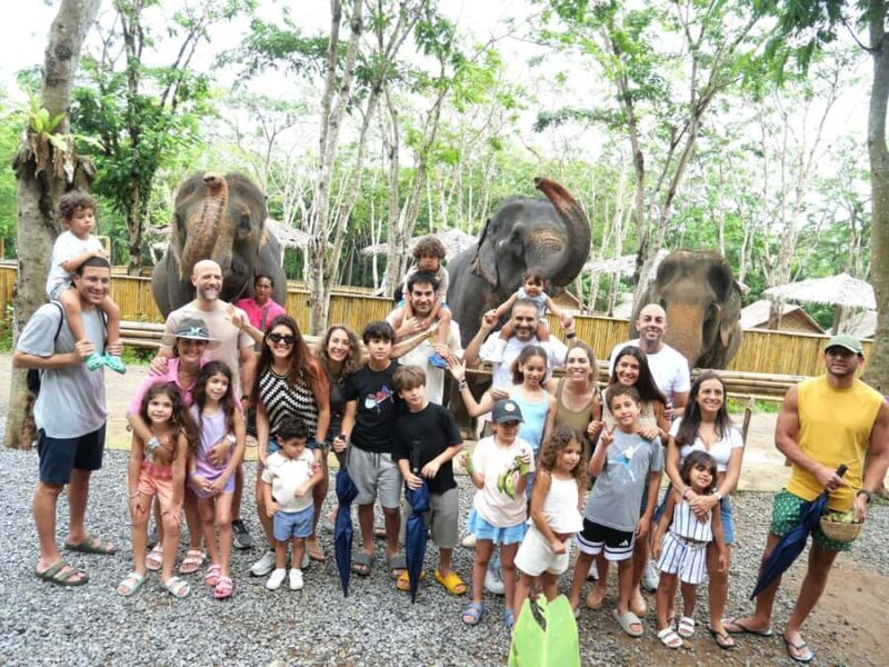 Phuket Elephant Conservation: Half-Day I Cooking Class I DIY - Key Points