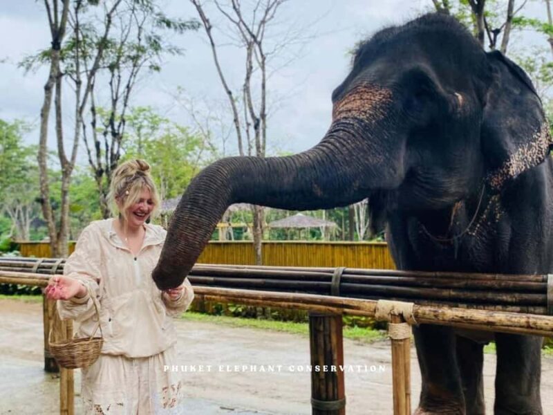 Phuket Elephant Conservation: Half-Day I Cooking Class I DIY - An In-Depth Look at the Experience