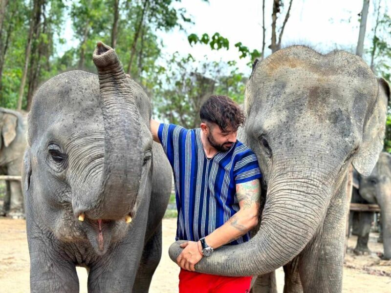 Phuket: Elephant Experience with Lunch or Dinner and Pickup - Introducing the Elephant Experience Near Phuket