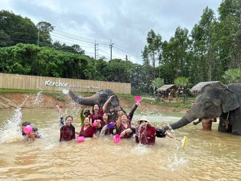 Phuket: Elephant Experience with Lunch or Dinner and Pickup - Final Thoughts